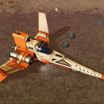 seed image
