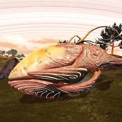 seed image