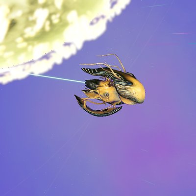 seed image