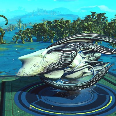 seed image