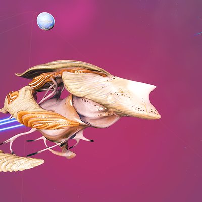 seed image