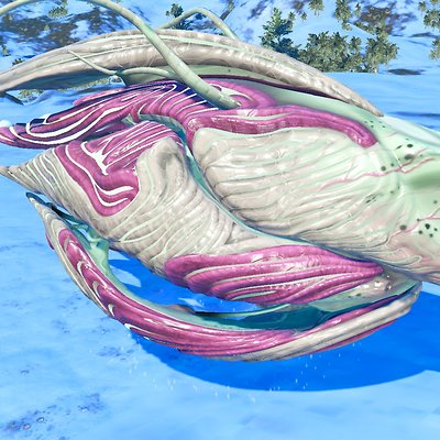 seed image
