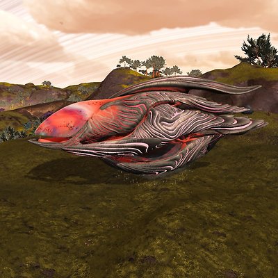 seed image