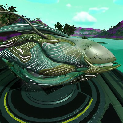 seed image