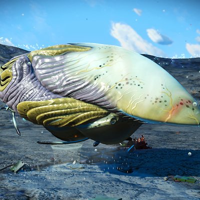 seed image