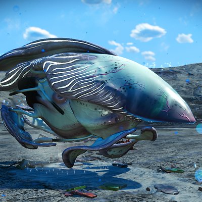 seed image