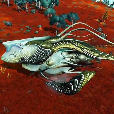 seed image