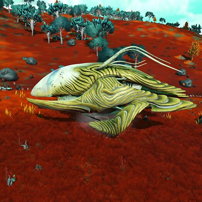 seed image