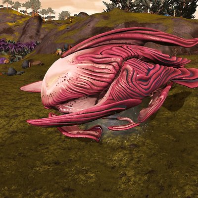 seed image