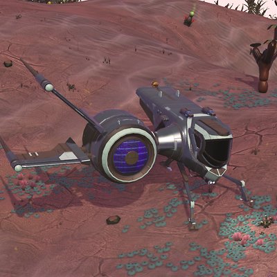 seed image