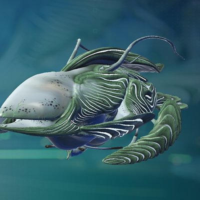 seed image