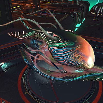 seed image