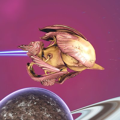 seed image
