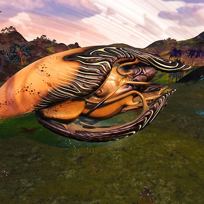 seed image