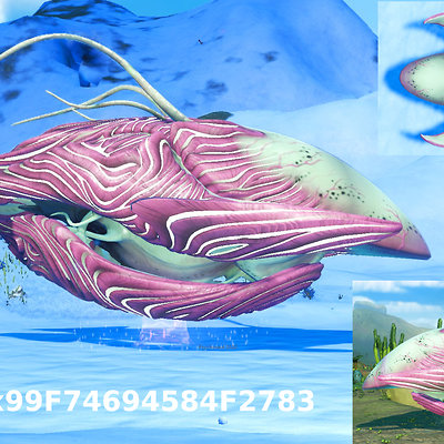 seed image