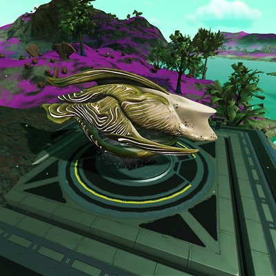 seed image