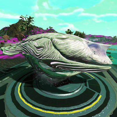 seed image