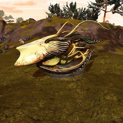 seed image