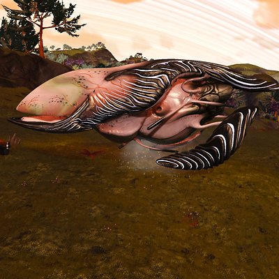 seed image