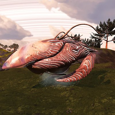 seed image