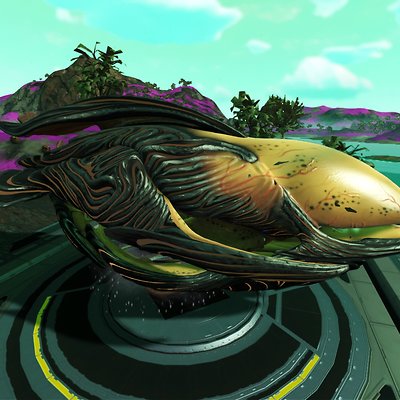 seed image