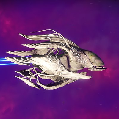 seed image
