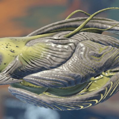 seed image