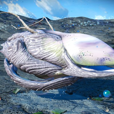 seed image