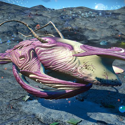 seed image