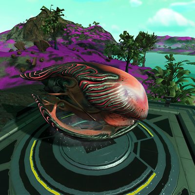 seed image