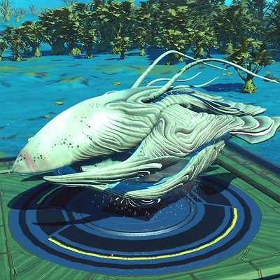 seed image