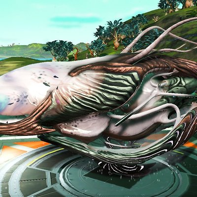 seed image