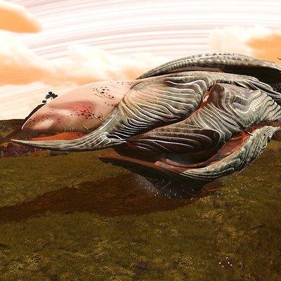 seed image