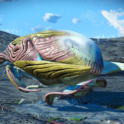 seed image