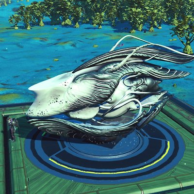 seed image