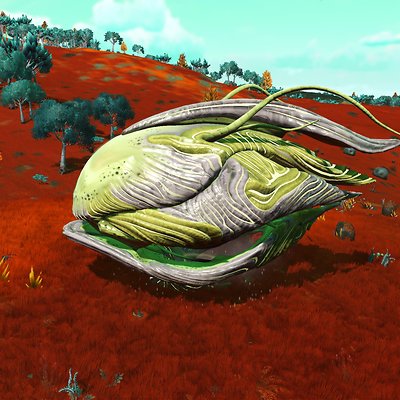seed image