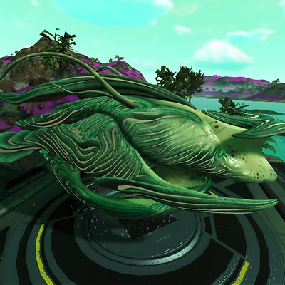seed image