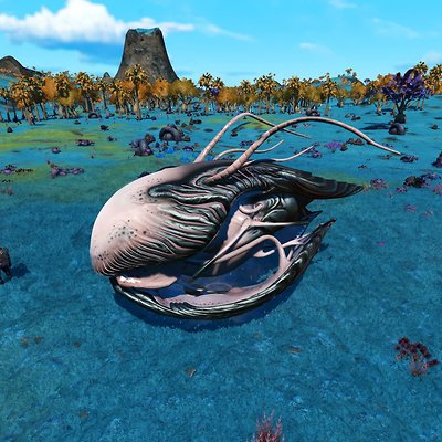 seed image
