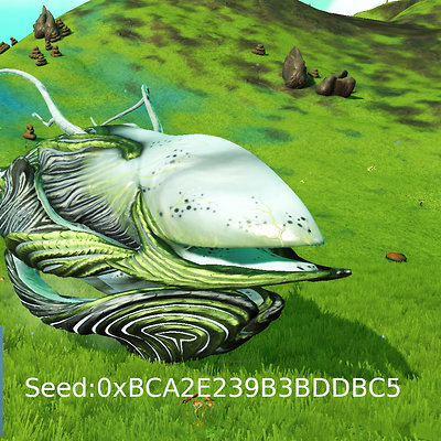 seed image