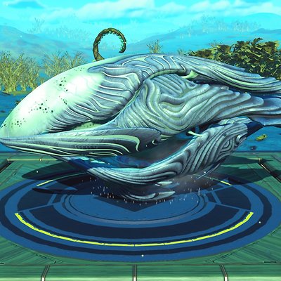 seed image