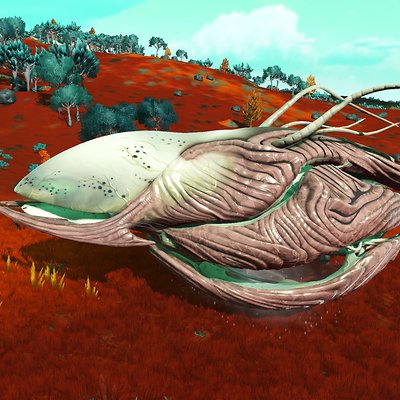 seed image