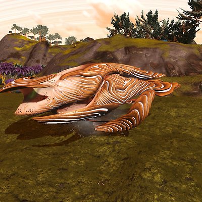 seed image