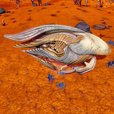 seed image