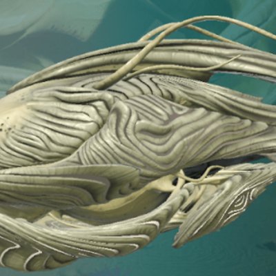 seed image