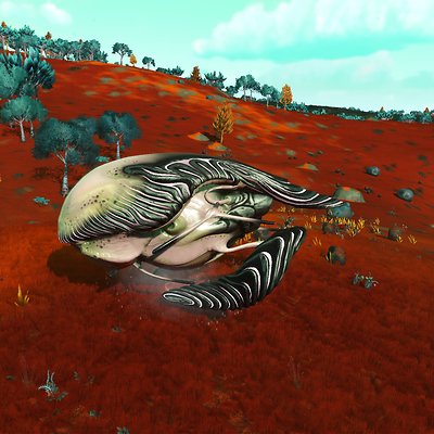 seed image