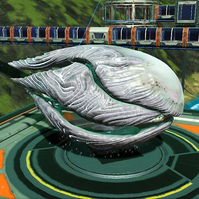 seed image