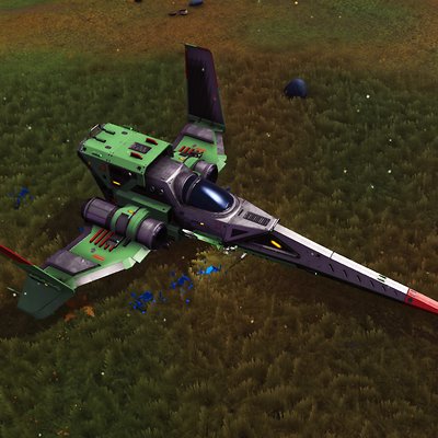 seed image