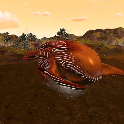 seed image