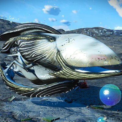 seed image