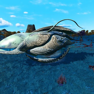 seed image